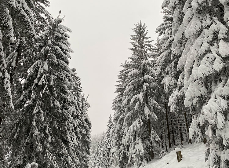 Winterlandschaft