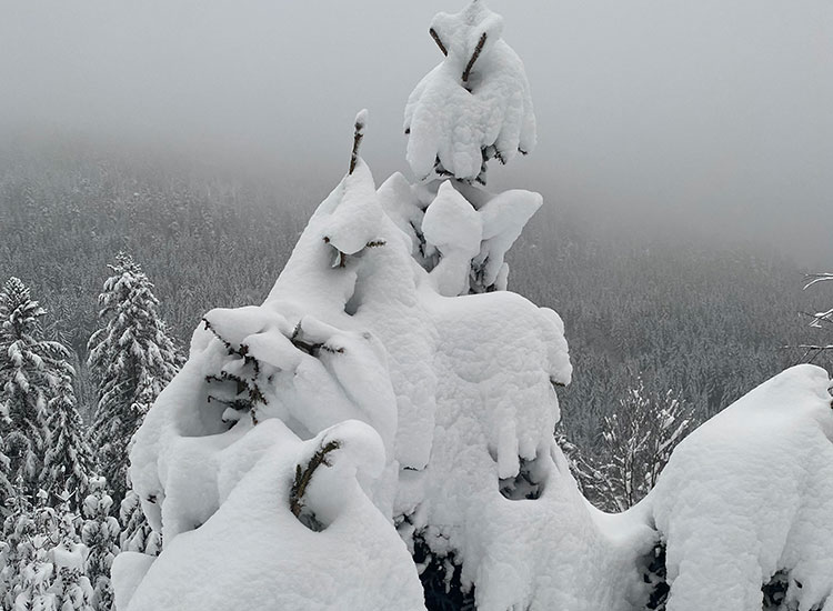 Winterlandschaft